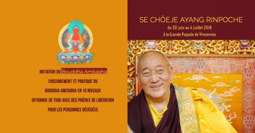 Enseignements et la pratique du Bouddha Amitabha en dix niveaux