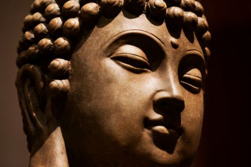 Sessions de pratique en groupe - janvier 2019