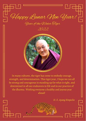 Bonne ann&eacute;e lunaire !