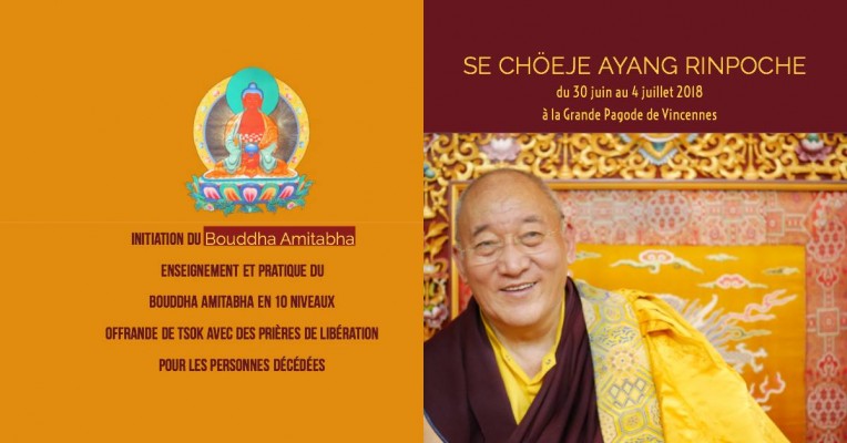 Enseignements et la pratique du Bouddha Amitabha en dix niveaux