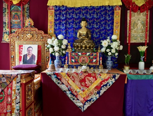 Sessions de pratique quotidiennes en pr&eacute;sentiel et en ligne